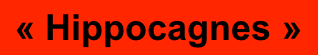 « Hippocagnes »